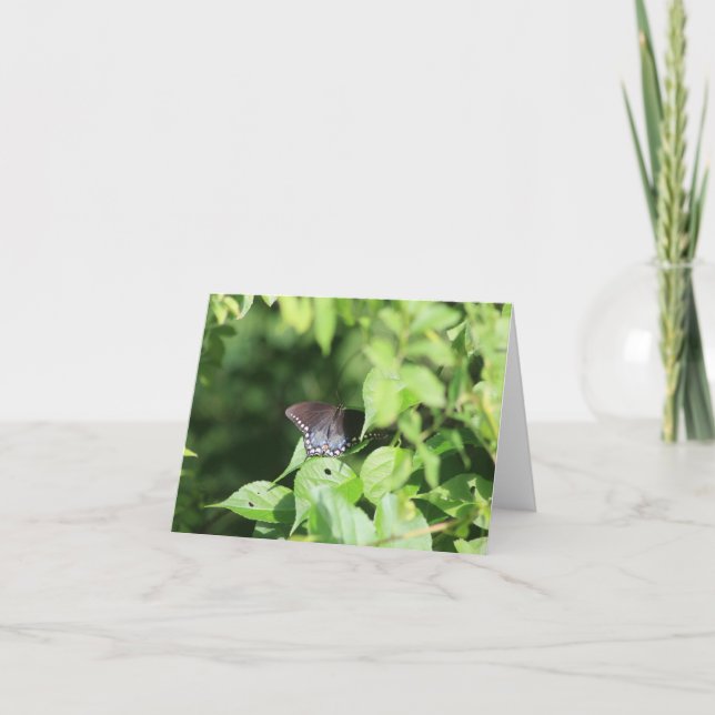 Hiding Swallowtail Note Card (Front)