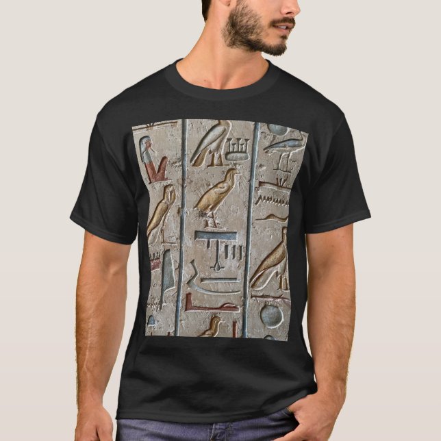 Hieroglyph Ancient Egypt Language Engraved Text    T-Shirt (Front)