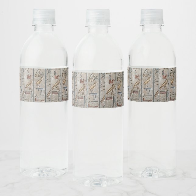 Hieroglyph Ancient Egypt Language Engraved Text    Water Bottle Label (Bottles)