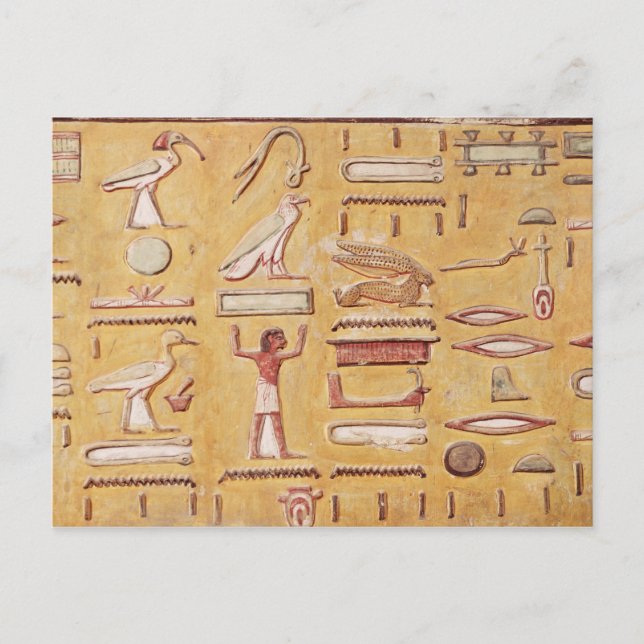 Hieroglyphics, from the Tomb of Seti I Postcard (Front)