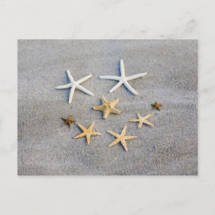 High angle view of a starfish on the beach postcard