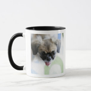 High angle view of an Eskimo Dog Mug