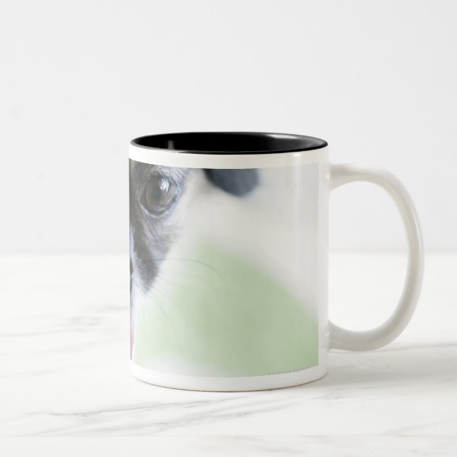 High angle view of an Eskimo Dog Two-Tone Coffee Mug (Right)