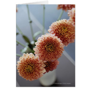 High angle view of flowers in a vase