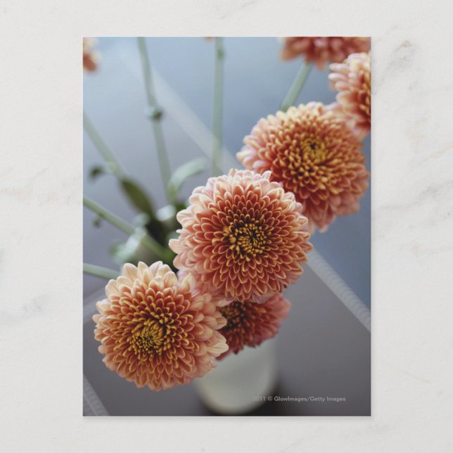 High angle view of flowers in a vase postcard (Front)