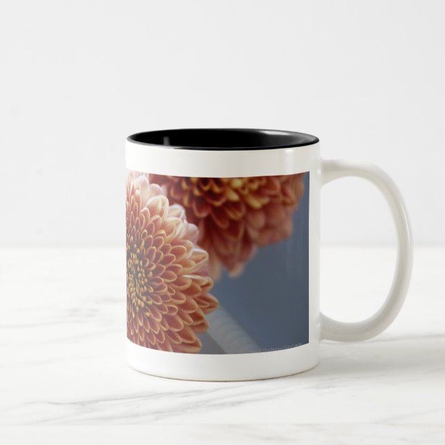 High angle view of flowers in a vase Two-Tone coffee mug (Right)