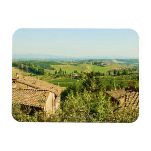 High angle view of houses with vineyard in the magnet