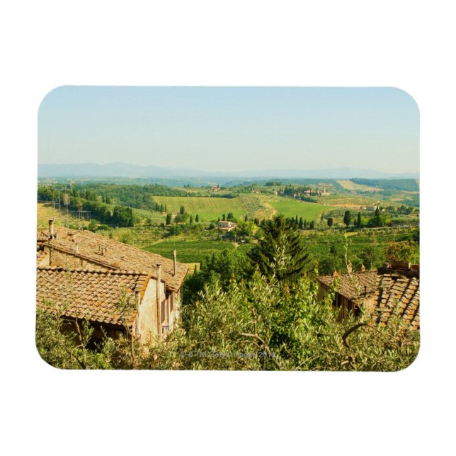 High angle view of houses with vineyard in the magnet (Horizontal)