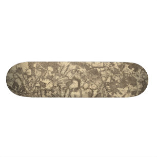 High Bridge and Virginia Skateboard