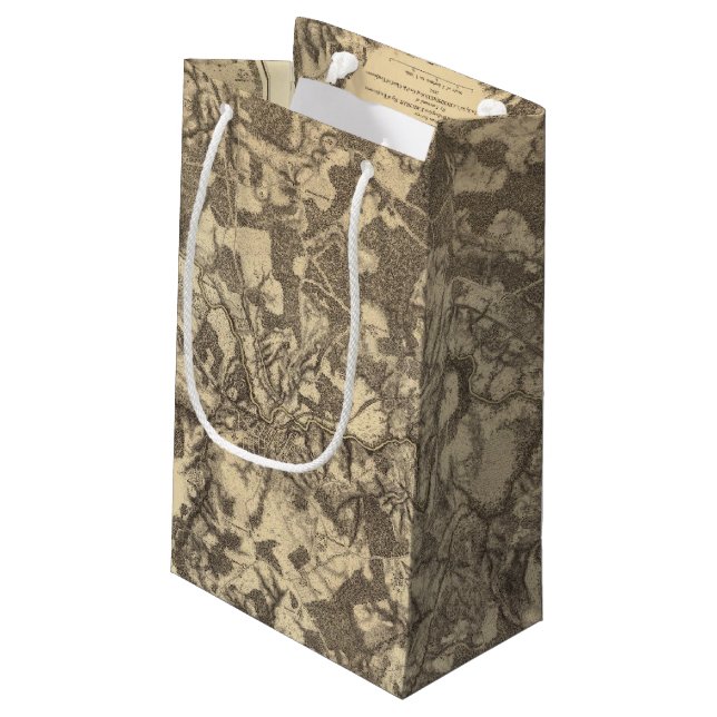 High Bridge and Virginia Small Gift Bag (Back Angled)