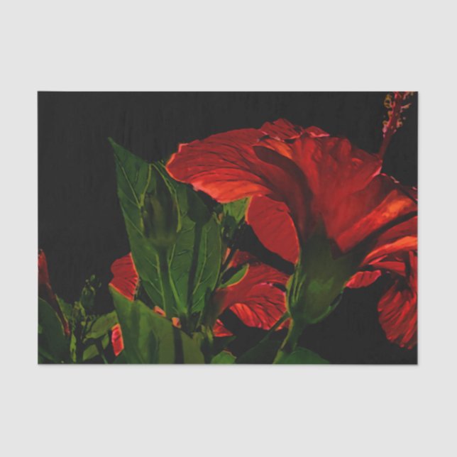 High Contrast Hibiscus Flower Photo Illustration Tissue Paper (Front)
