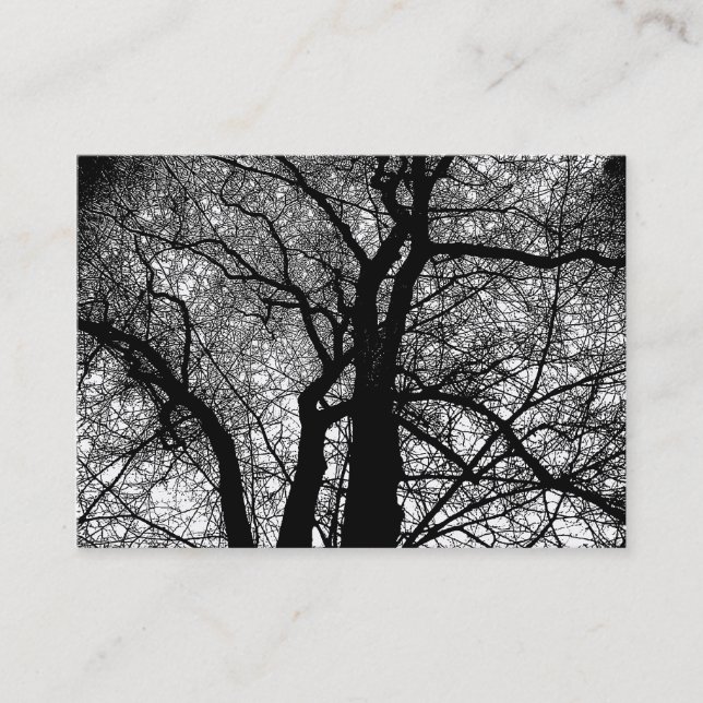 High Contrast Trees Business Card (Front)