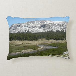 High Country Mountain Stream I Decorative Cushion