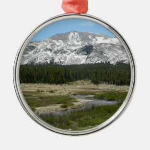 High Country Mountain Stream I Metal Ornament