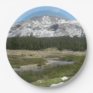 High Country Mountain Stream I Paper Plate