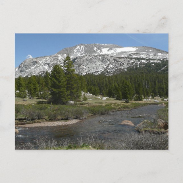 High Country Mountain Stream II at Yosemite Postcard (Front)