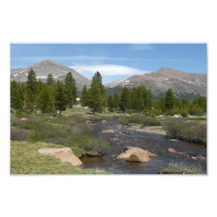 High Country Mountain Stream III at Yosemite Photo Print
