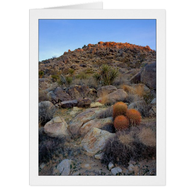 "High Desert Garden" (Front)