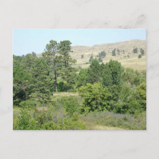 High Desert Postcard