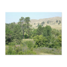 High Desert