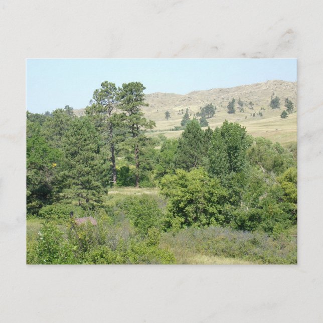 High Desert Postcard (Front)