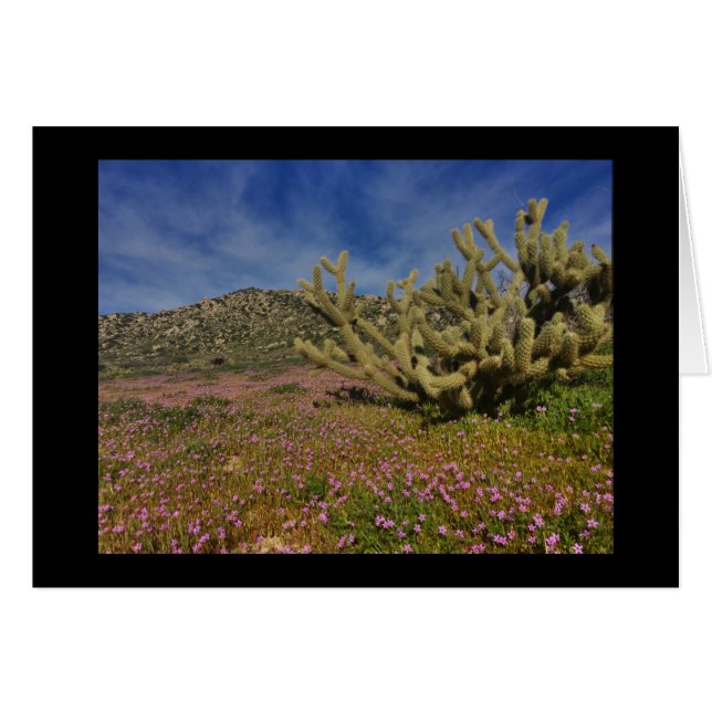 High Desert spring (Front Horizontal)