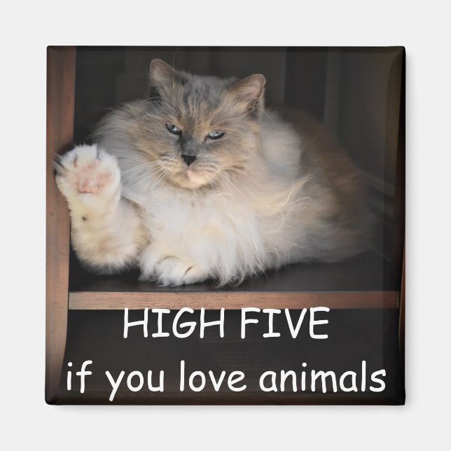 HIGH FIVE if you love animals,  Magnet (Front)