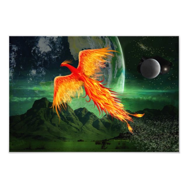 High Flying Phoenix Photo Print (Front)