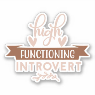 High Functioning Introvert