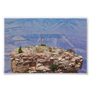 High Garden Photo Print