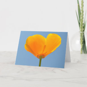 High in the Sky Card