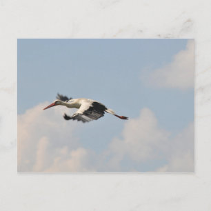 High in the sky postcard