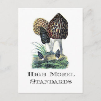 High Morel Standards Postcard