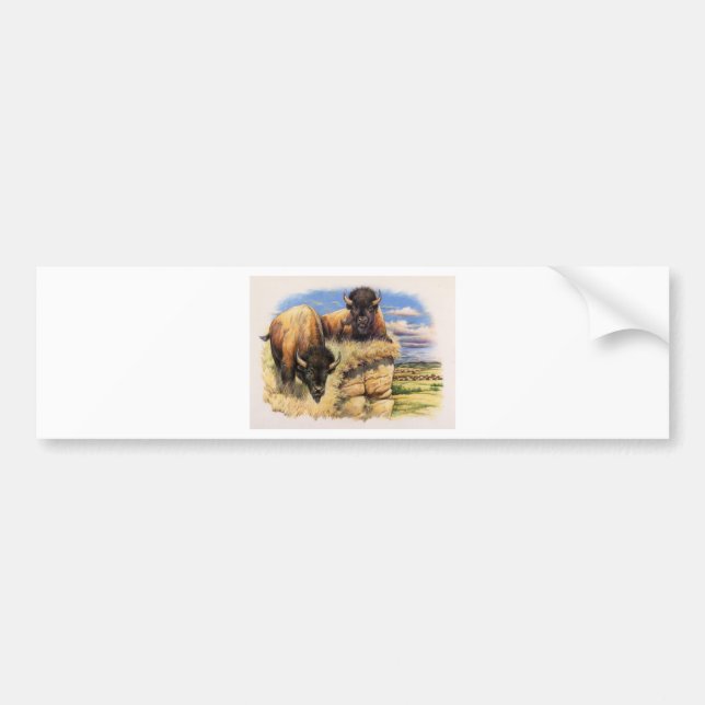 High Plains Bison Bumper Sticker (Front)
