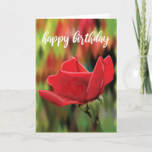 High-Poly Realistic Red Rose Bud Birthday Card