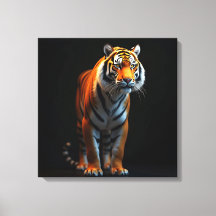 High-Quality Full-Size Tiger on Black|