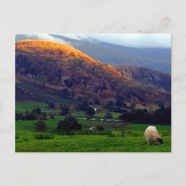 High Rigg Cumbria Postcard (Front)