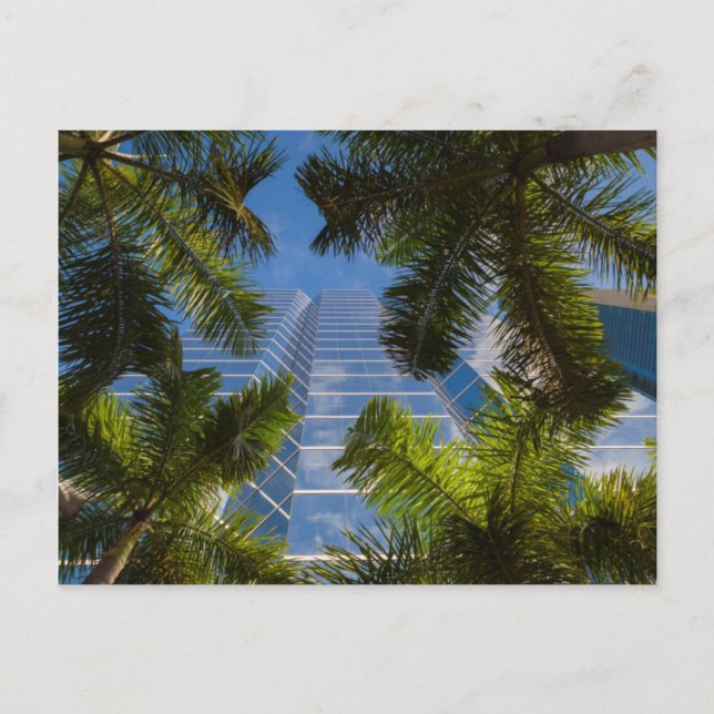 High rise buildings postcard (Front)