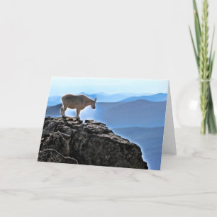 High Rockies Sentinel Card