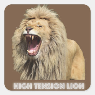 High Tension Lion Square Sticker