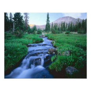 HIGH UINTAS WILDERNESS, UTAH. Stillwater Fork Photo Print