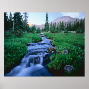 HIGH UINTAS WILDERNESS, UTAH. Stillwater Fork Poster