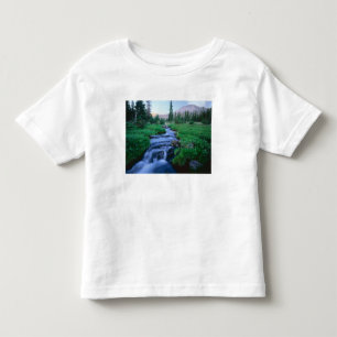 HIGH UINTAS WILDERNESS, UTAH. Stillwater Fork Toddler T-Shirt