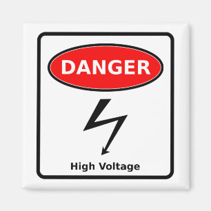 High Voltage Magnet