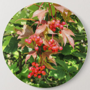 Highbush Cranberries 6 Cm Round Badge