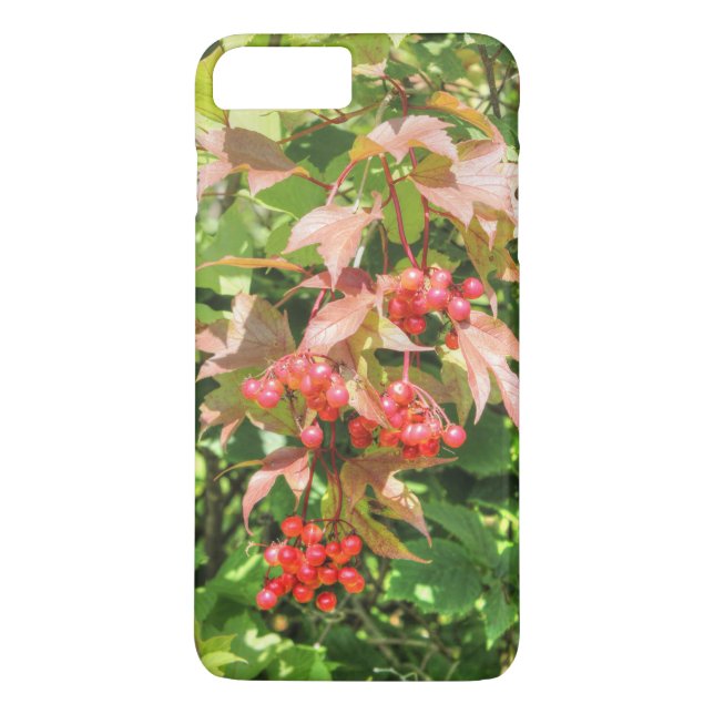 Highbush Cranberries Case-Mate iPhone Case (Back)