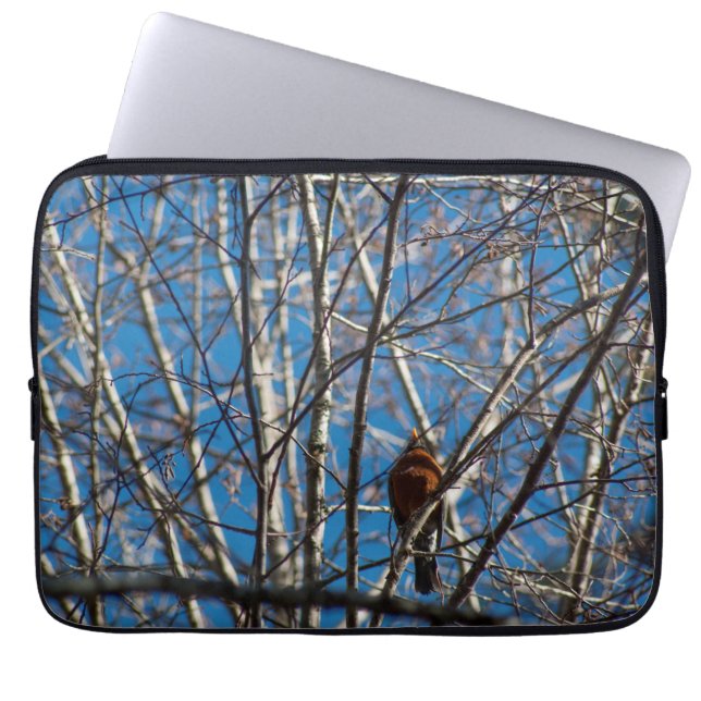Higher Up Laptop Sleeve (Front)