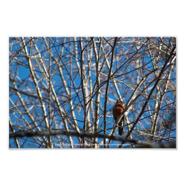 Higher Up Photo Print (Front)