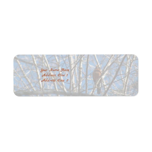 Higher Up Return Address Label (Front)