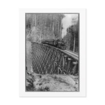 Highest Single Piling Trestle In The World